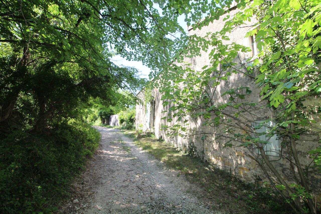 Chateau De Fontblachere Saint-Lager-Bressac Exteriér fotografie